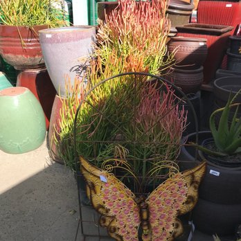 Miner's Ace Hardware - Great colorful plants - Hardware Stores Near Me - Arroyo Grande, California Miner's Ace Hardware - Great colorful plants - Hardware Stores Near Me - Arroyo Grande, California