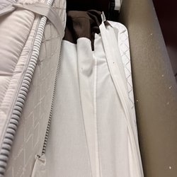 Bed bugs