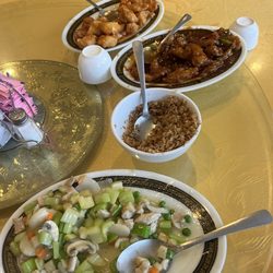 Golden Palace Restaurant - Cashew Chicken Sub Gum, fried rice, sezchuan chicken and sweet and sour chicken in the back