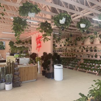 Selva Coffee House - Coffee & Tea Near Me - Del Mar, California