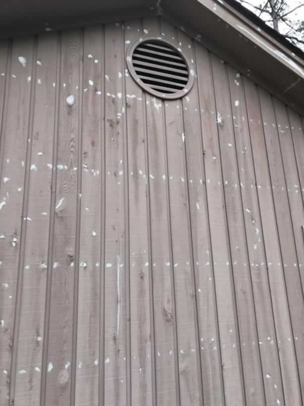 YFB GUTTER & SCREEN PORCHES Updated September 2024 45 Photos