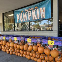 Safeway - Hey there, Pumpkin!