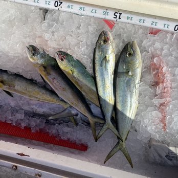 Double Time Charters - Fishing Near Me - Destin, Florida Double Time Charters - Fishing Near Me - Destin, Florida
