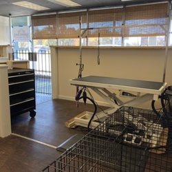 Shawnee Dogs' Grooming