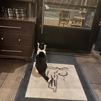Le Café Livres - Darling cat. - Cafes Near Me - Paris, 75 Le Café Livres - Darling cat. - Cafes Near Me - Paris, 75