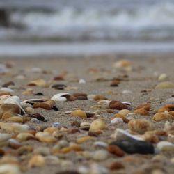 Lets go to a place where pebbles are polished & diamonds are damned!!
