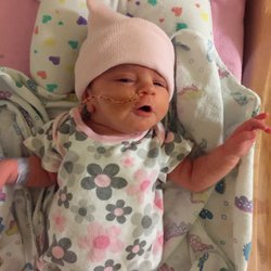 Kaylen Silverberg, MD
