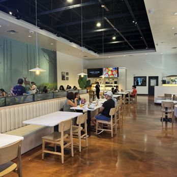 Bakery 1908 - Bakeries Near Me - Orlando, Florida