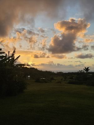 Puna Rainforest Retreat: Hot springs and steam vents by null
