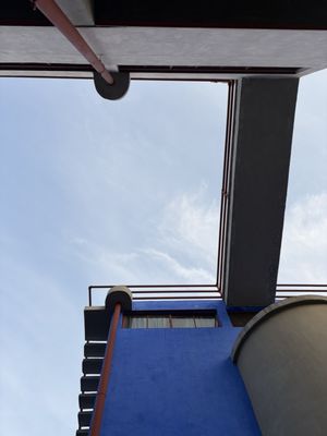 Museo Casa Estudio Diego Rivera y Frida Kahlo by null