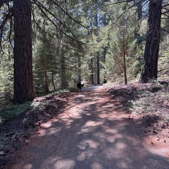 Rocky Point - Campgrounds Near Me - Canyondam, California Rocky Point - Campgrounds Near Me - Canyondam, California