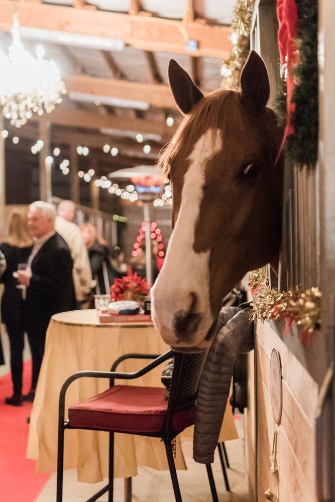 Oxer Hill Farm - equestrian in Snohomish, WA