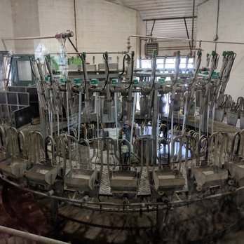 Valley Shepherd Creamery - the milking room - Cheese Shops Near Me - Long Valley, New Jersey