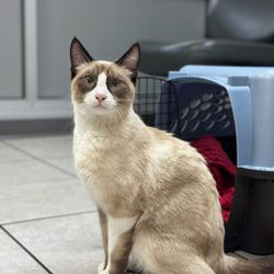 Sandhill Pet Clinic