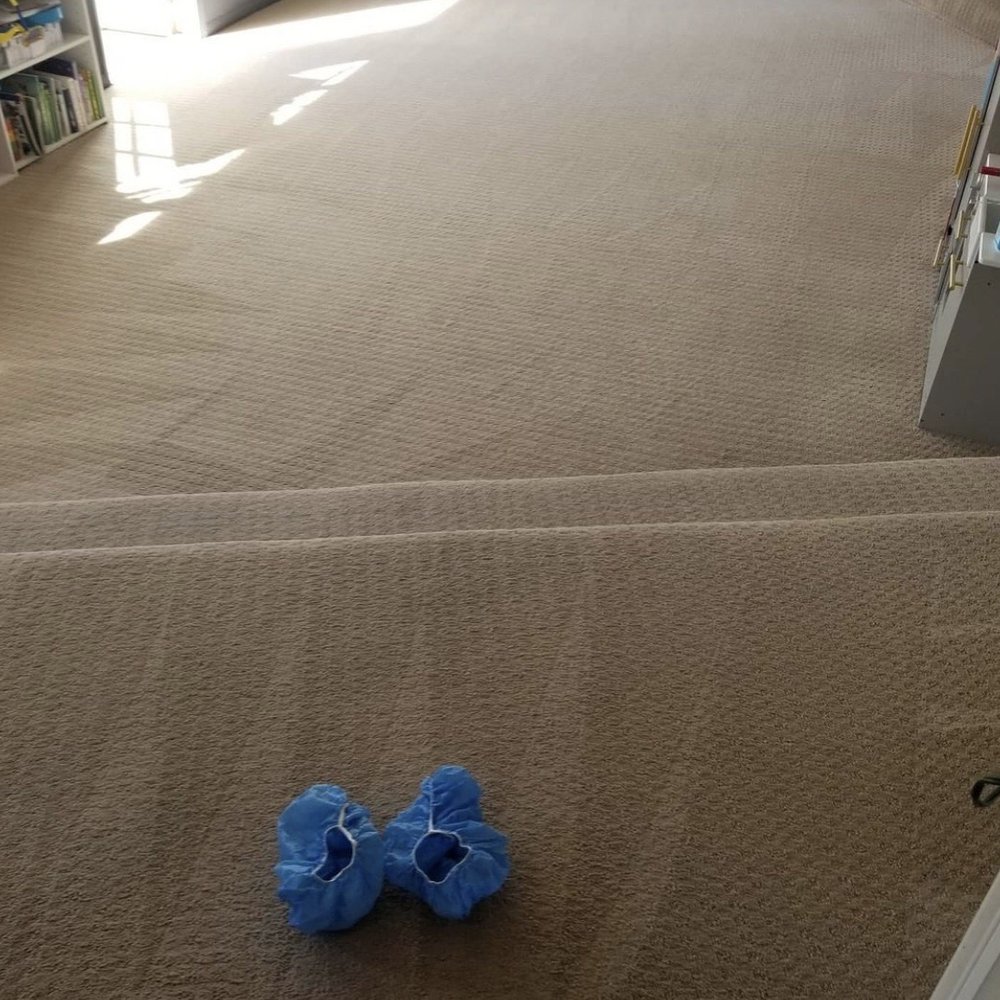 Stain free carpet! :) Stain free carpet! :)