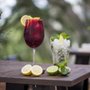 Photo of Terraza Collins