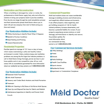 Mold Doctor - Home Inspectors Near Me - Parlin, New Jersey Mold Doctor - Home Inspectors Near Me - Parlin, New Jersey