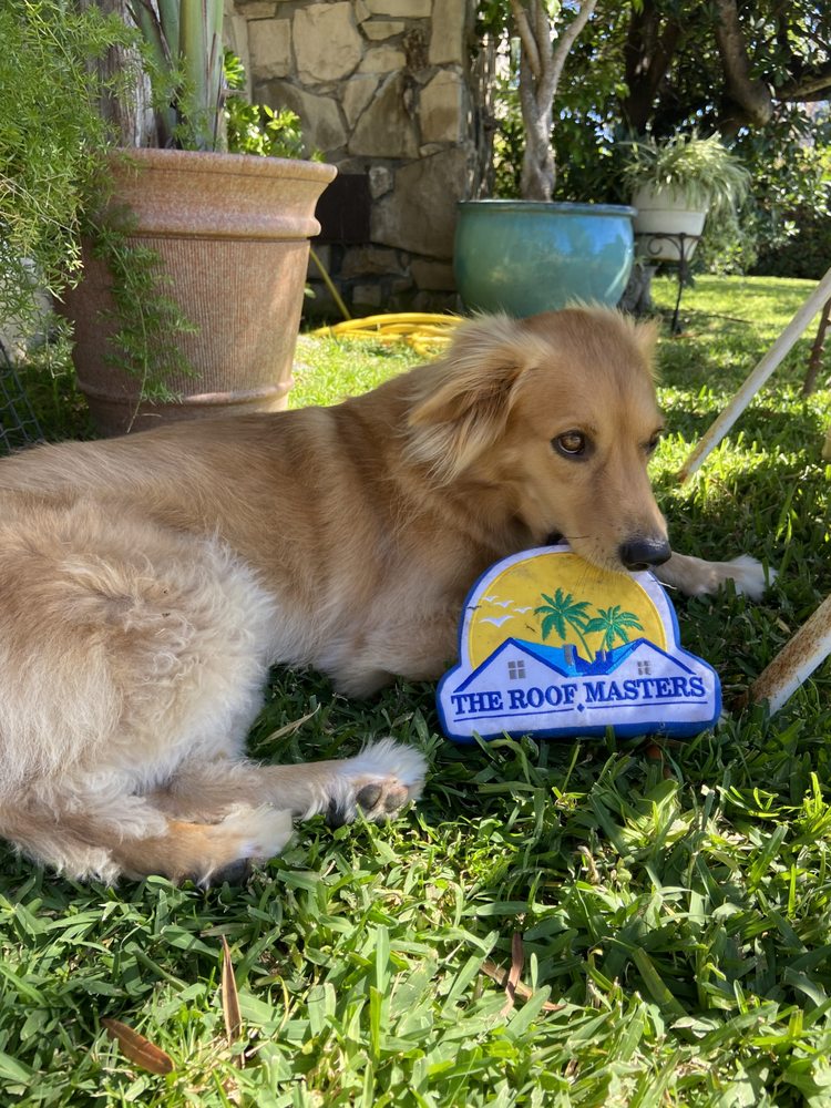 Slide of The Roof Masters