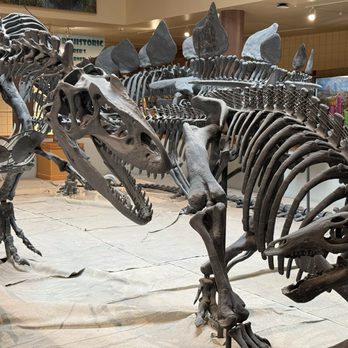 USU Eastern Prehistoric Museum - A very cool dinosaur feature - Museums Near Me - Price, Utah USU Eastern Prehistoric Museum - A very cool dinosaur feature - Museums Near Me - Price, Utah