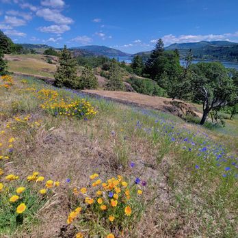 Catherine Creek Trail - Hiking Near Me - Lyle, Washington
