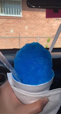 Armadillo Snow Cones by null