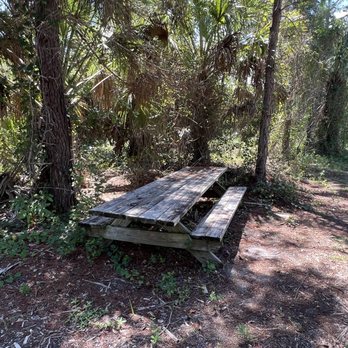 North Sebastian Conservation Area - Parks Near Me - Sebastian, Florida North Sebastian Conservation Area - Parks Near Me - Sebastian, Florida