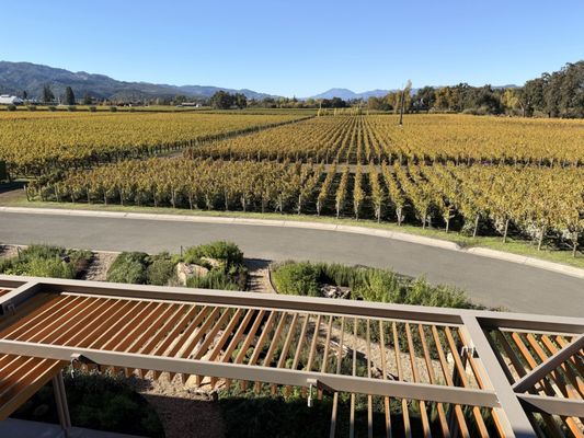 Opus One Winery by null