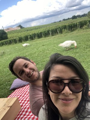 Bordeaux Wine Trails - Wine tours by null