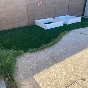 Arizona Turf Professionals - The other half of the job seems to have been rushed or a step was missed as weeds immediately grew around half of it. - Artificial Turf Near Me Arizona Turf Professionals - The other half of the job seems to have been rushed or a step was missed as weeds immediately grew around half of it. - Artificial Turf Near Me