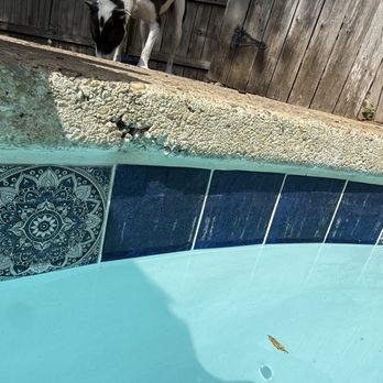 South Texas Pool Tile Cleaning - Pool & Hot Tub Service Near Me - San Antonio, Texas South Texas Pool Tile Cleaning - Pool & Hot Tub Service Near Me - San Antonio, Texas