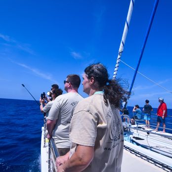 Ocean Sports - Scout families watching for whales - Snorkeling Near Me - Waikoloa, Hawaii Ocean Sports - Scout families watching for whales - Snorkeling Near Me - Waikoloa, Hawaii