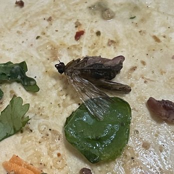 sweetgreen - Bug in crispy rice salad - Salad Near Me - New York, New York sweetgreen - Bug in crispy rice salad - Salad Near Me - New York, New York