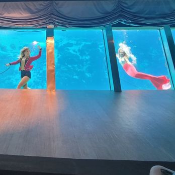 Weeki Wachee Springs - Mermaid show - Amusement Parks Near Me - Spring Hill, Florida Weeki Wachee Springs - Mermaid show - Amusement Parks Near Me - Spring Hill, Florida