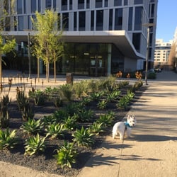 UCSF Mission Bay Station