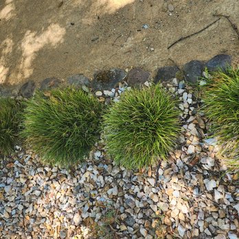 Epic Garden and Landscape - a row of grass and rocks - Gardeners Near Me Epic Garden and Landscape - a row of grass and rocks - Gardeners Near Me