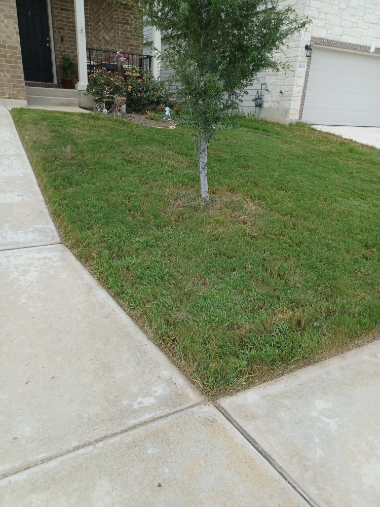 THE CHRISTMAS LIGHT DUDES Request a Quote Carrollton, Texas