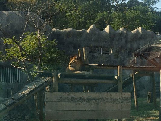 Shoushan Zoo by null