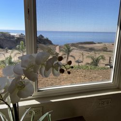 Spa Ventana al Mar - A view from the pedicure room.