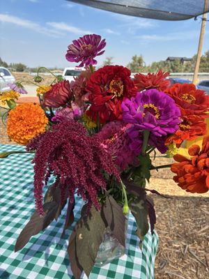 Well Rooted Farms by null