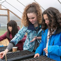 Berkshire Waldorf School