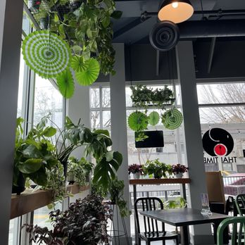 Thai Time - Plants inside - Thai Near Me - Sacramento, California Thai Time - Plants inside - Thai Near Me - Sacramento, California