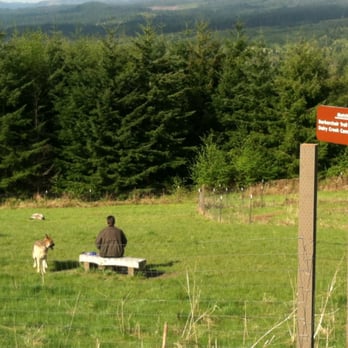 Stub Stewart State Park - Dog park is challenging and on a hill! - Parks Near Me - Buxton, Oregon Stub Stewart State Park - Dog park is challenging and on a hill! - Parks Near Me - Buxton, Oregon