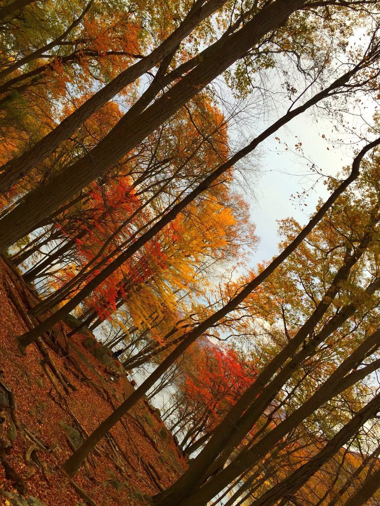 BEAR MOUNTAIN Updated September 2024 33 Photos & 11 Reviews