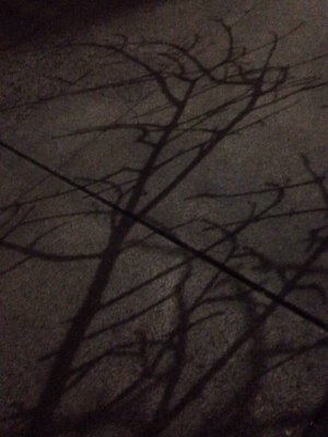 Portland Community College Cascade by null