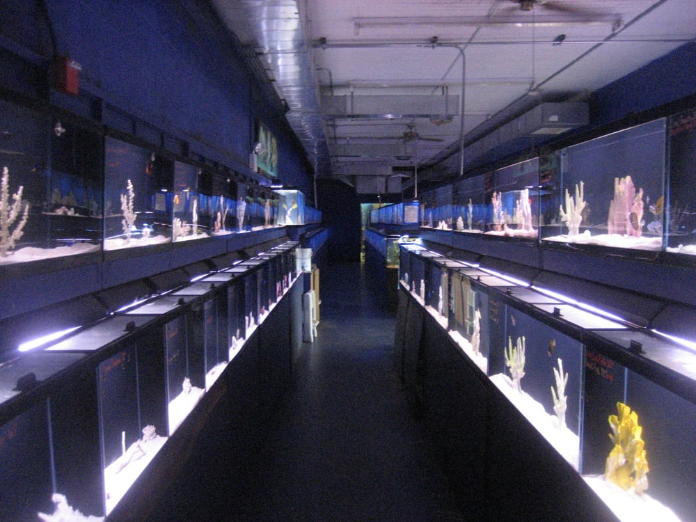 TROPIQUATICS PET CENTRE 59 Reviews 337 S Main St, Lombard, IL Yelp