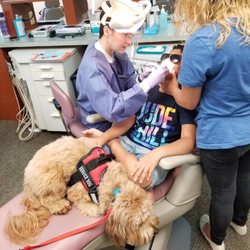 Dentistry For Special People - Meet our newest assistant!