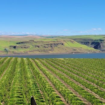 Maryhill Winery - Wineries Near Me - Goldendale, Washington Maryhill Winery - Wineries Near Me - Goldendale, Washington