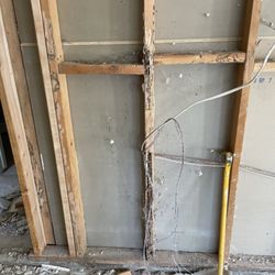 Daniel's Wildlife & Pest Control - Subterranean termite damage