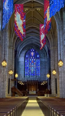 Princeton University by null