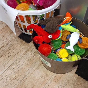 SEMINOLE COUNTY ANIMAL SERVICES - Updated February 2026 - 32 Photos